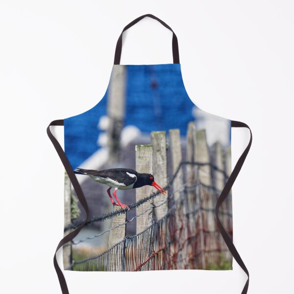 Item preview, An oystercatcher designed and sold by Alan Mackinnon.