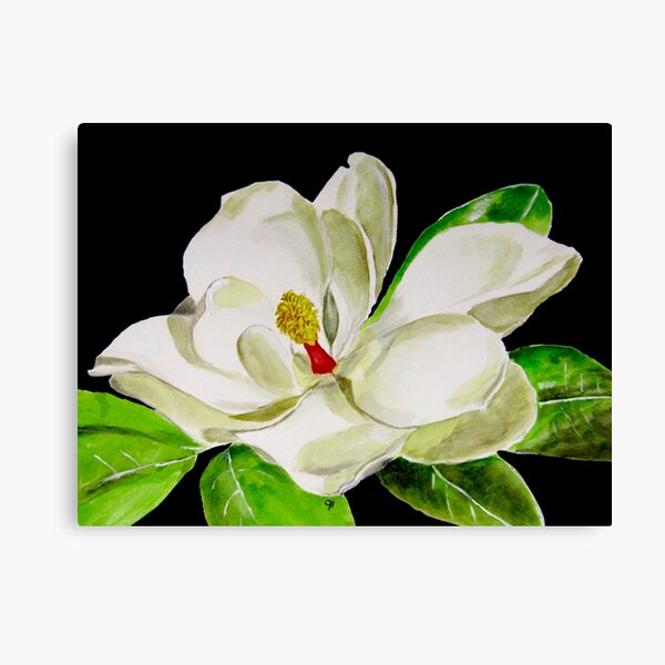 Lienzos: Magnolia | Redbubble