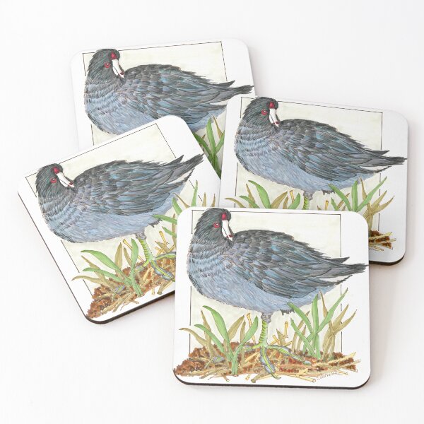 Item preview, Coot in Grass designed and sold by Stephanie Sipp.