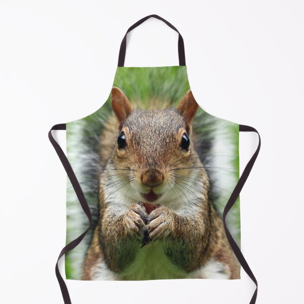 Item preview, Squirrel designed and sold by fourretout.