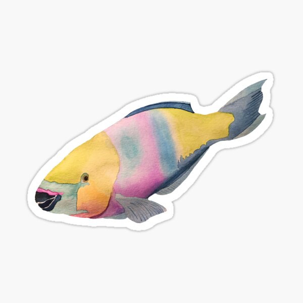 I Love Princes Parrotfish  Fish Lover Gifts for Divers & Aquarists