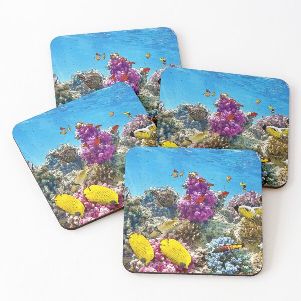Item preview, Coral reefs and fish vectorized designed and sold by Beyond Words.