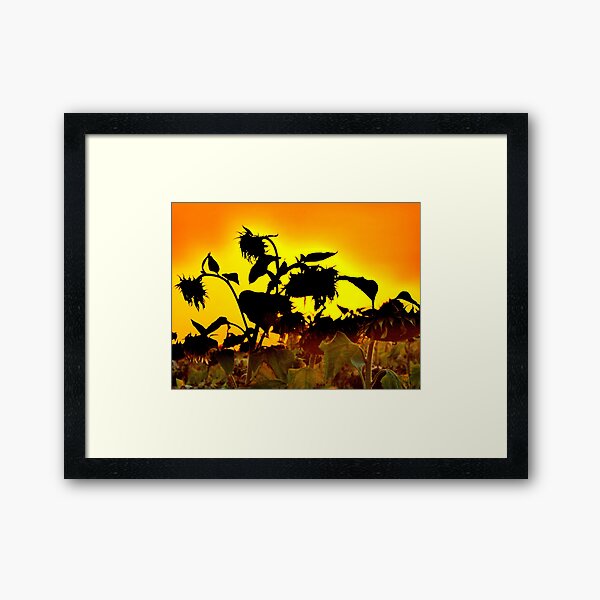 Item preview, Tournesols designed and sold by angel1.