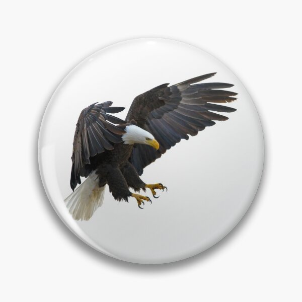 Item preview, The Eagle is Landing designed and sold by Designs By Creation.