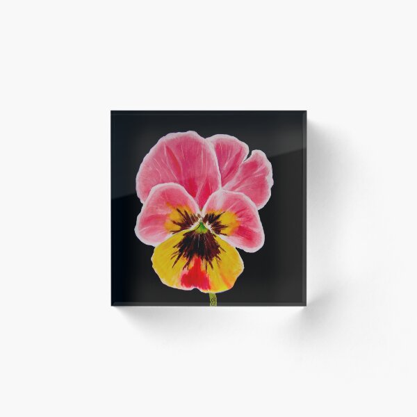 Pansy Acrylic Block