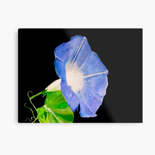 Item preview, Morning Glory designed and sold by PaintedbyCarol.