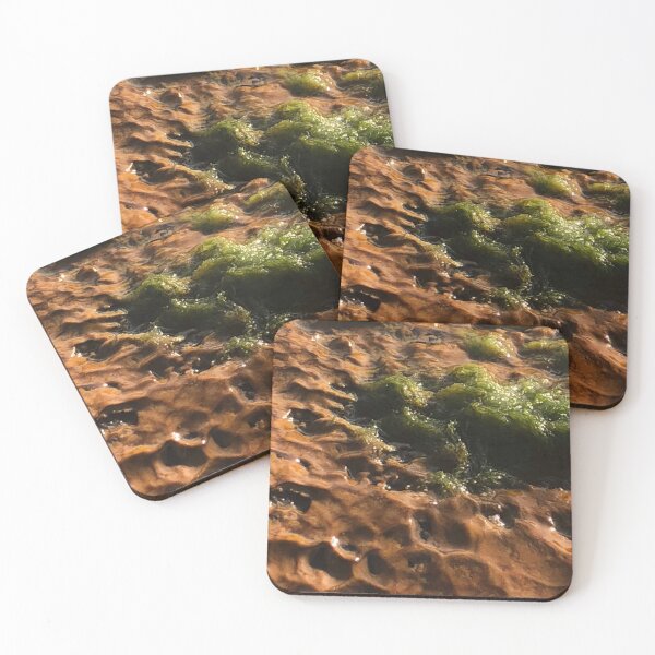Item preview, Brown Rock Moss Plant  designed and sold by Kaushal Pal.