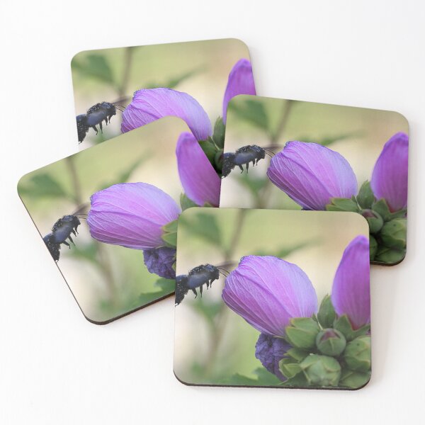 Item preview, A busy bee designed and sold by Paul Pasco.