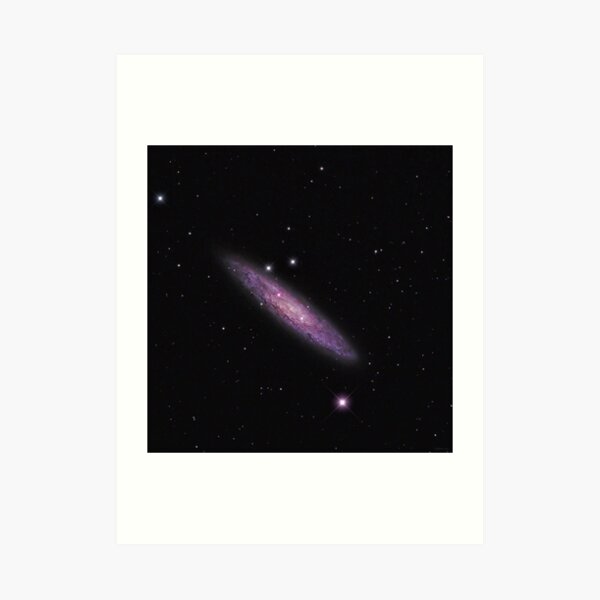 NGC 253 - Sculptor Galaxy (Astronomy.com APOD) Art Print