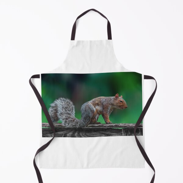 Item preview, Angry squirrel designed and sold by Masha-Gr.