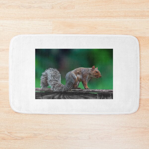Item preview, Angry squirrel designed and sold by Masha-Gr.
