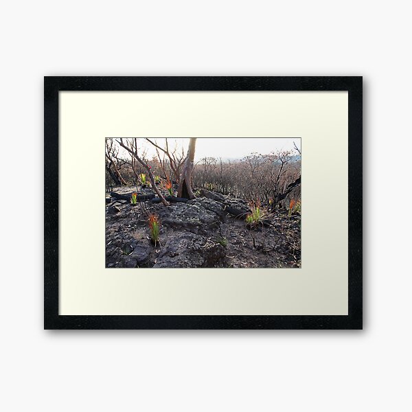 Survivors 2 Framed Art Print