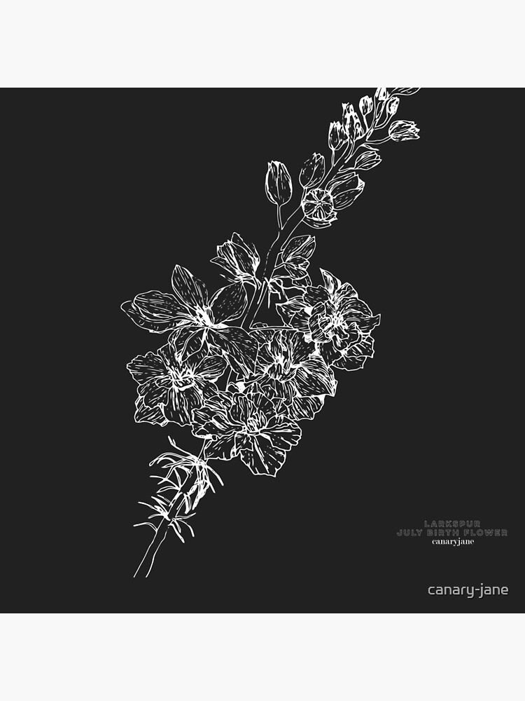 "Larkspur July Birth Flower in Black" Poster for Sale by canaryjane