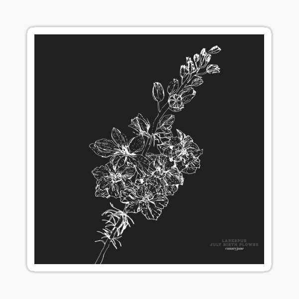 Larkspur July Birth Flower in Black Sticker