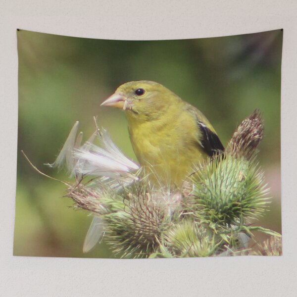 Item preview, Finch designed and sold by traceh38.
