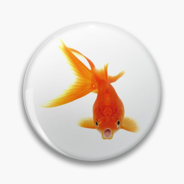 Artikelvorschau, Bob, der Goldfisch entworfen und verkauft von Designs By Creation.