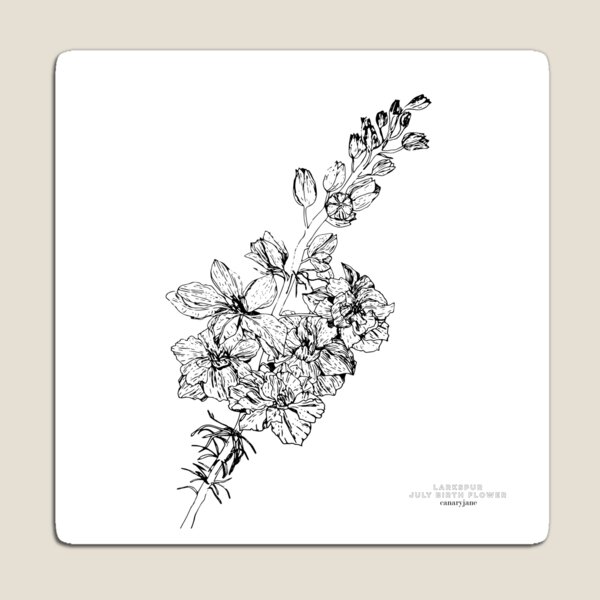 Larkspur July Birth Flower in White Magnet