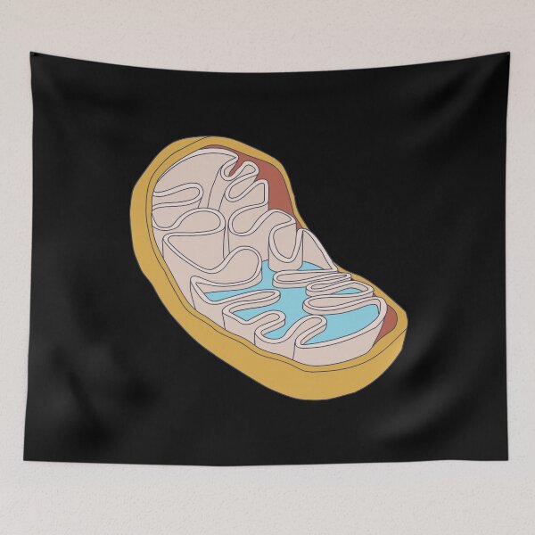 Item preview, Mitochondria - Chemistry Graphic - Membrane Cell designed and sold by DeWinnes.