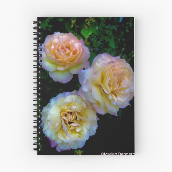 Item preview, Peace Roses at dusk designed and sold by MarianBendeth.
