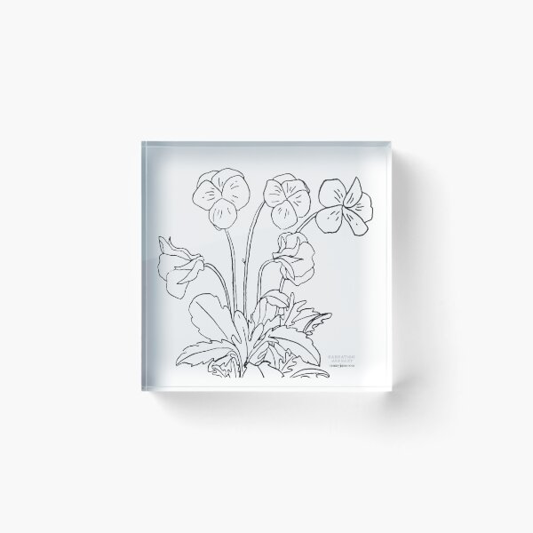 Item preview, Violet February Birth Flower in White designed and sold by canary-jane.