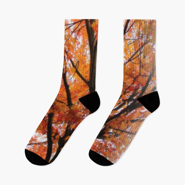 Item preview, Fall Maple designed and sold by traceh38.