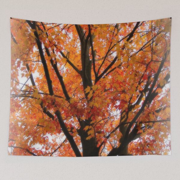 Item preview, Fall Maple designed and sold by traceh38.
