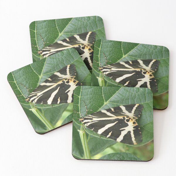 Item preview, Jersey Tiger Moth on a Bean Leaf Photograph designed and sold by naturegallery.