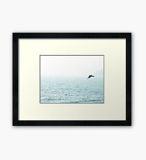 Crow Framed Print