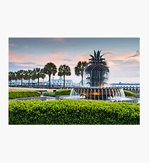Charleston South Carolina Pineapple Fountain Downtown Waterfront Park Photographic Print
