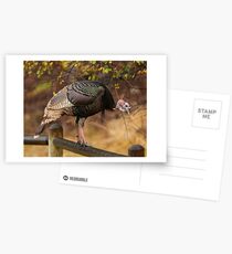 Happy Thanksgiving! Postcards