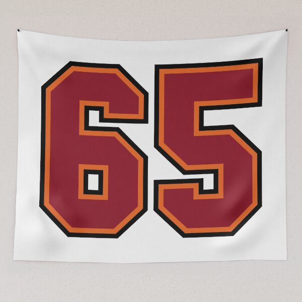 Item preview, Number 65 Sports Tampa Sixty-Five Jersey designed and sold by HelloFromAja.