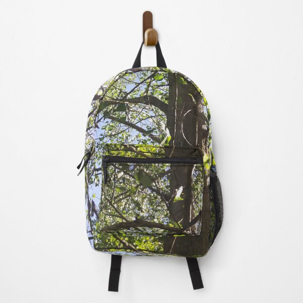 Item preview, Ramas curvas, fotografía de naturaleza en perspectiva por Courtney Hatcher designed and sold by cghatcherart.