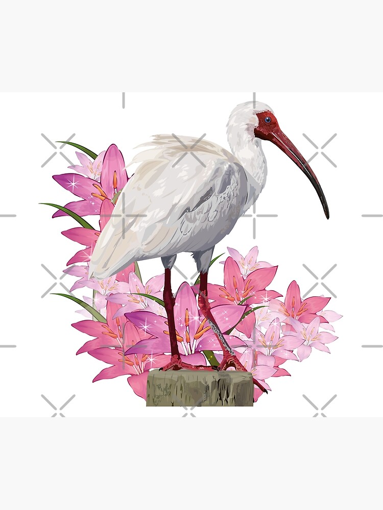 Disover Ibis Shower Curtain