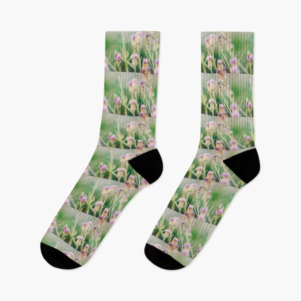 Item preview, Before The Day Is Over designed and sold by Denise Abé.