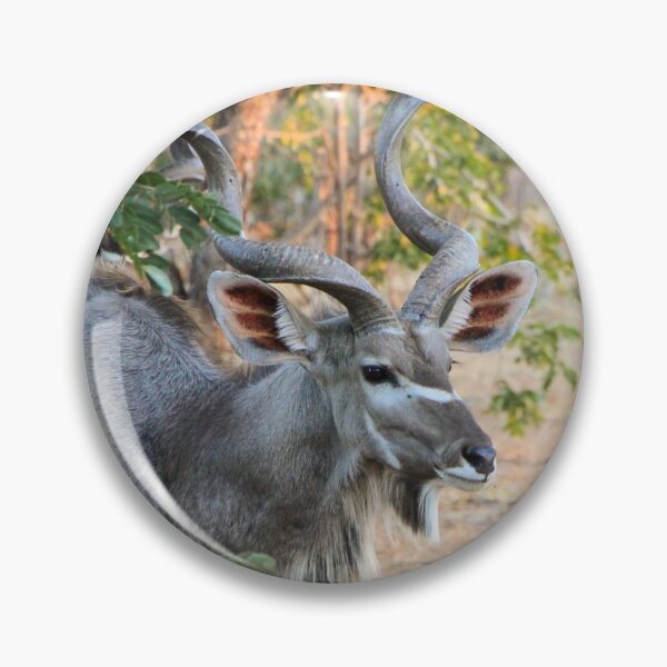 Item preview, Male Kudu Close Up, Botswana, Africa designed and sold by SafariByMarisa.