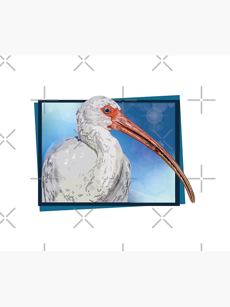 Disover Ibis Shower Curtain