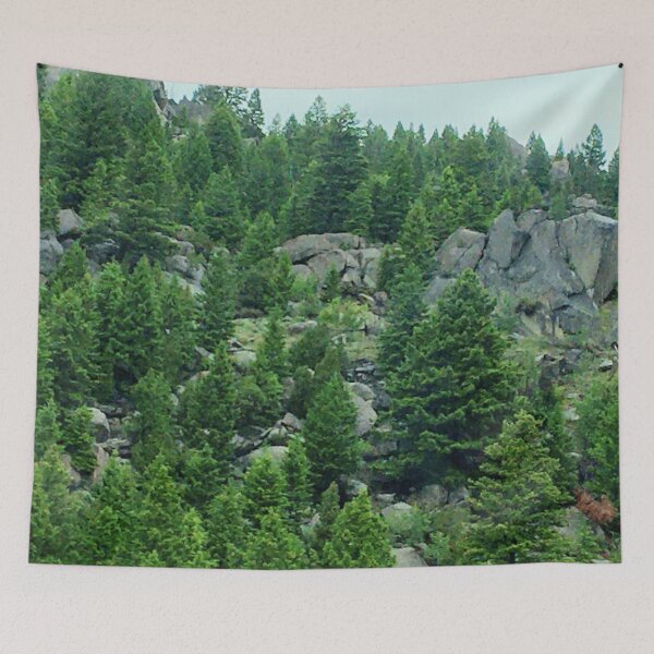 Item preview, Ensemble of Rocks and Trees - Montana 2020 designed and sold by Christopher Wheat.