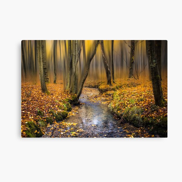 Autmn Woodland Stream Canvas Print