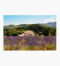 provence Photographic Print