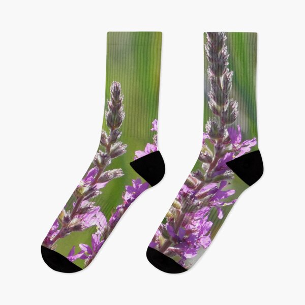 Item preview, Midsummer Flowers on Leslie Street Spit designed and sold by Tara  Baxendale.