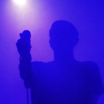 Artwork thumbnail, Singer In A Purple Haze by Frugal Mr B