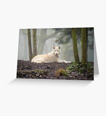 Lone Wolf Greeting Card