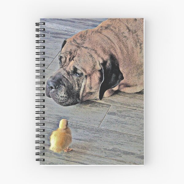 Item preview, dog with chick designed and sold by Mekciss.