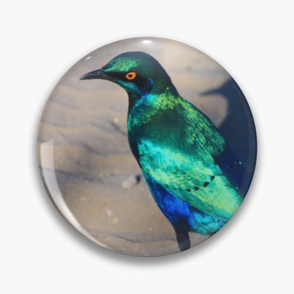 Item preview, African Blue Starling Bird designed and sold by SafariByMarisa.
