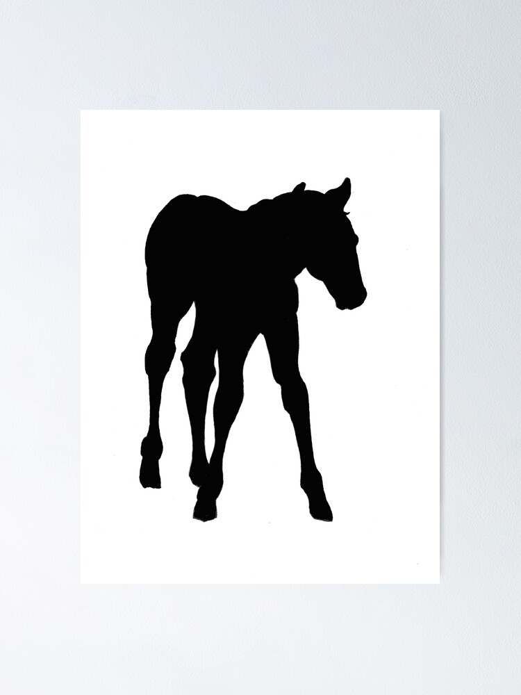 Baby Pferd Silhouette Pferd Fohlen Zeichnung Poster Von Joyce Redbubble