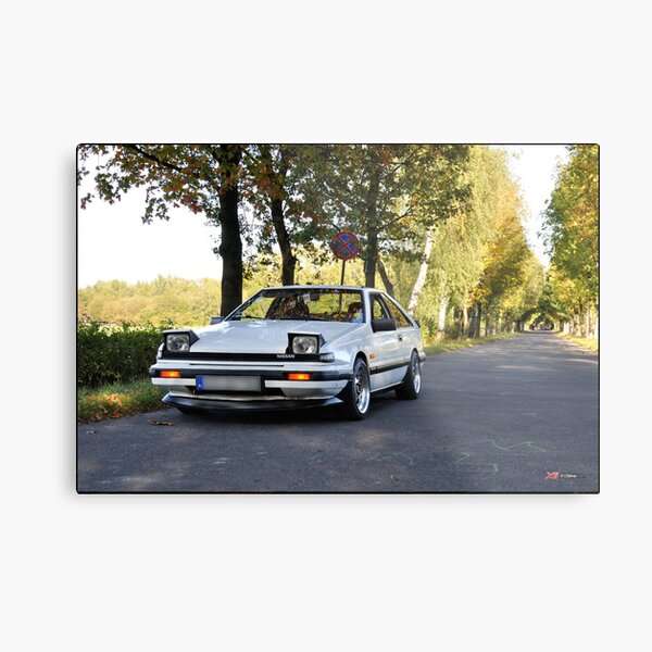 Damian Dusinski S12 2013 Print Metal Print