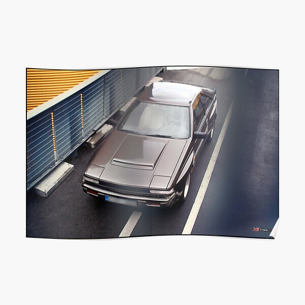 Erikas Liberis S12 2013 Print Poster