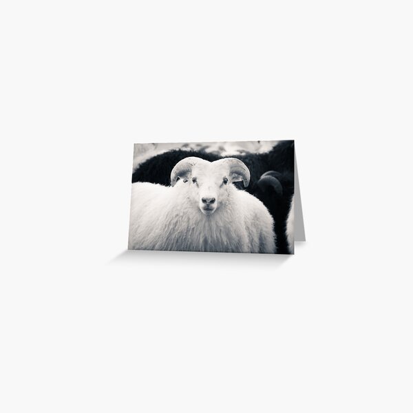 Is It Me You're Looking For? Greeting Card