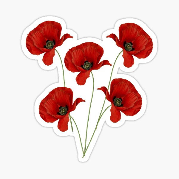 Poppies on a Green Background Sticker