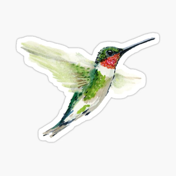 Ruby Throated Humming Bird Sticker
